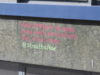 907552 Afbeelding van een 'straathaikoe' geschilderd op een muur in de Noorderstraat te Utrecht, met de tekst: ...